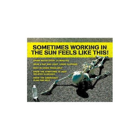 Accuform Accuform Safety Poster, SOMETIMES WORKING IN THE SUN FEELS LIKE THIS, 17inH x 22inW, Paper SP125178